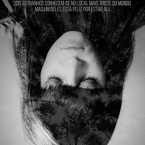 Photo The Forest of the Lost Souls