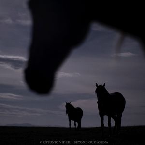 Photo Beyond our arena