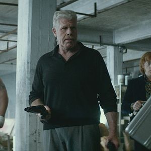 Photo Ron Perlman