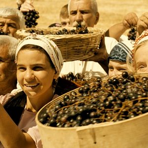 Photo Les Raisins de l'espoir