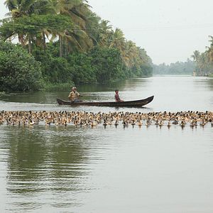 Photo Ottaal