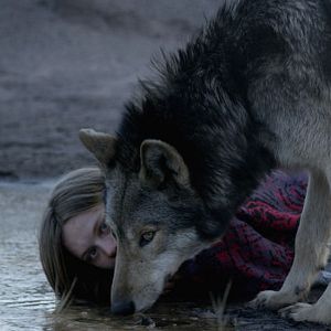 Photo Wild