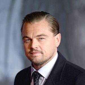 Photo The Revenant