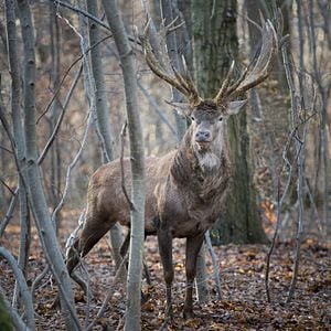 Photo Les Saisons