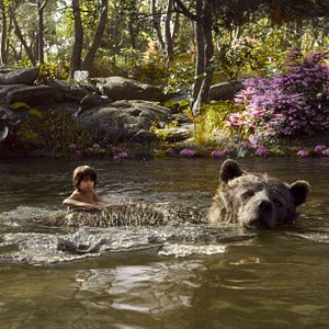 Photo Le Livre de la jungle