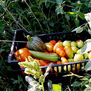 Photo Le Potager de mon grand-père