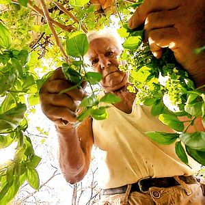 Photo Le Potager de mon grand-père