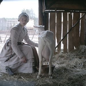 Photo The Witch