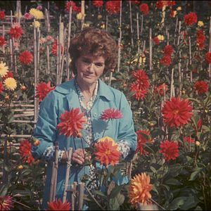 Photo Visite ou Mémoires et confessions