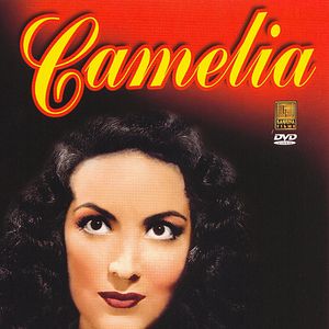 Photo Camelia