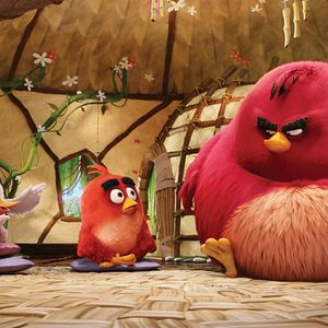 Photo Angry Birds - Le Film