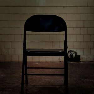 Photo The Fear of 13