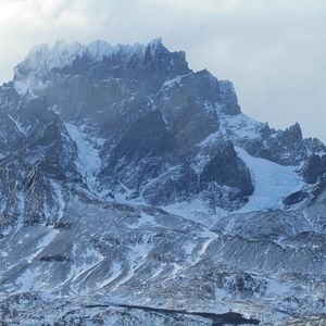 Le Bouton de nacre : Photo