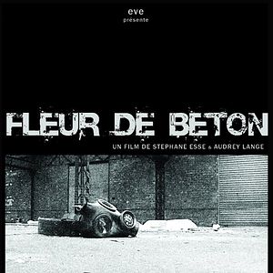 Photo Fleur de Béton
