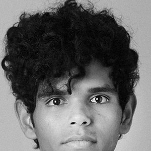 Photo João Vieira Torres