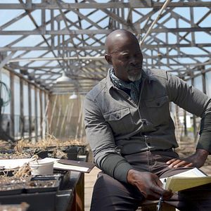 Photo Djimon Hounsou