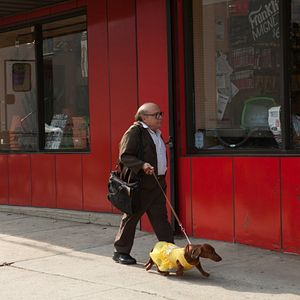 Photo Danny DeVito