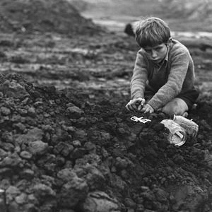 Photo Stephen Archibald