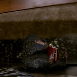 Photo Les Animaux fantastiques