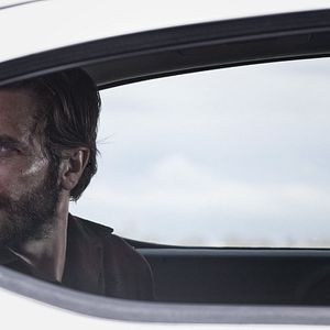 Photo Nocturnal Animals