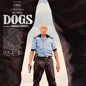 Photo Dogs