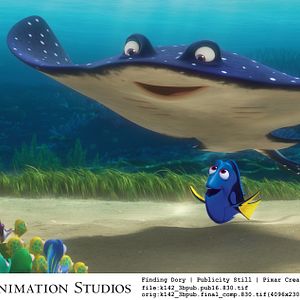 Photo Le Monde de Dory