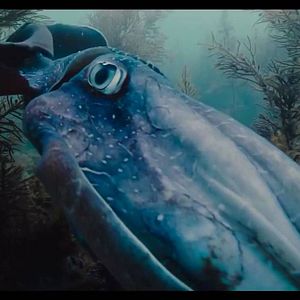 Photo Voyage of Time : Au fil de la vie
