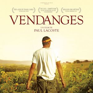 Photo Vendanges