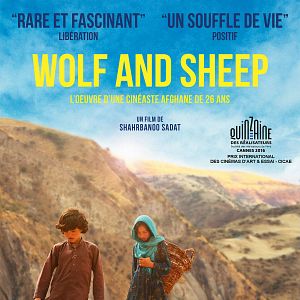 Photo Wolf And Sheep