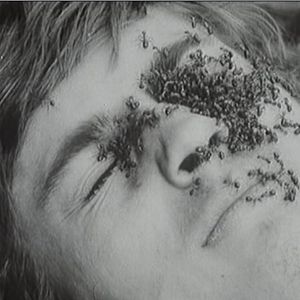 Photo Les Diamants de la nuit