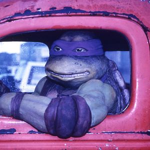 Photo Les Tortues Ninja