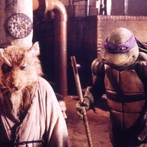 Photo Les Tortues Ninja