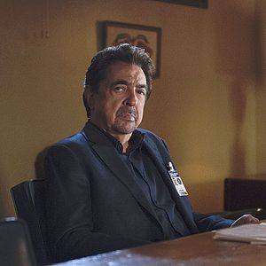 Photo Joe Mantegna