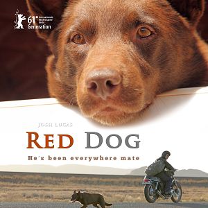 Photo Red Dog
