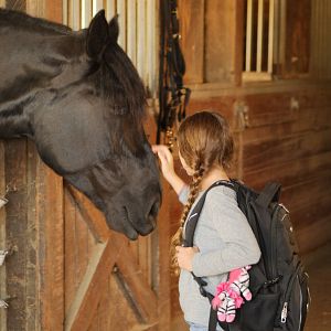 Photo Alexis Rosinsky