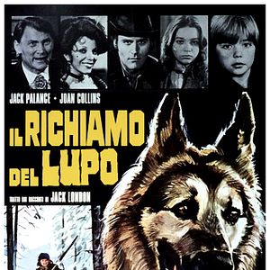 Photo Il Richiamo del lupo