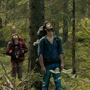 Photo Dans La Forêt