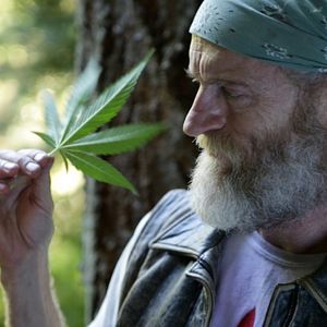 Photo Julian Gavilanes