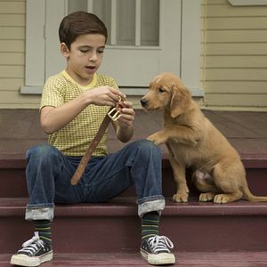 Photo Bryce Gheisar
