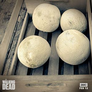 Photo The Walking Dead