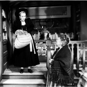 Photo Marlene Dietrich