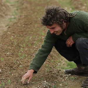 Photo Les Pieds sur terre