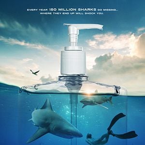 Photo Sharkwater Extinction
