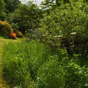 Photo Gilles Clément, Le Jardin en mouvement