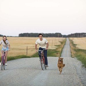 Photo Mes vies de chien