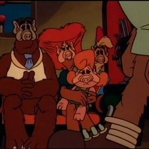 Photo Du Côté de chez Alf