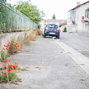 Photo Zéro Phyto 100% Bio