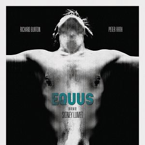 Photo Equus