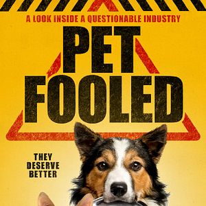 Photo Pet Fooled