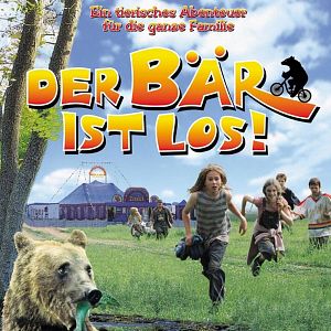 Photo Der Bär ist los